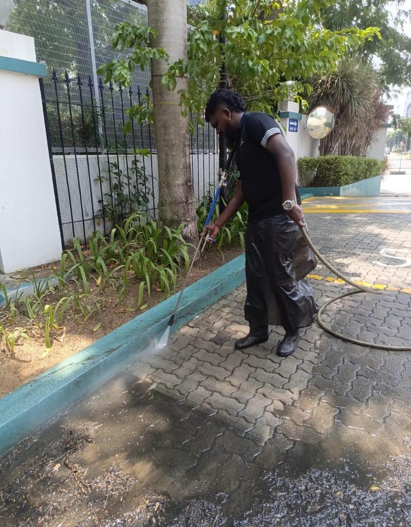CleanLee cleaner pressure-washing a paved walkway beside a landscaped garden bed